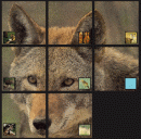 225_Puzzle_Panel copy