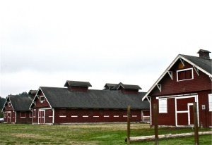 FSP Barns