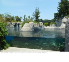 Mystic Exhibit. wwwzoochat.com  p1250468-196647