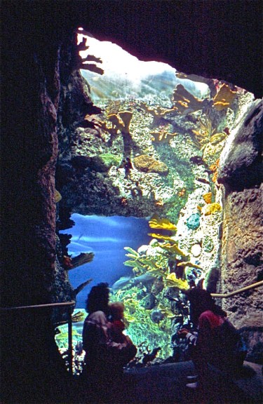 PDZA Bluehole 2 copy