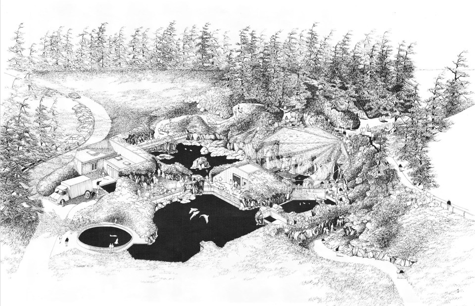 PDZA Rocky Shore Sketch 1